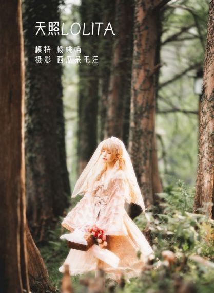银翼的魔术师_电视剧完整版在线观看